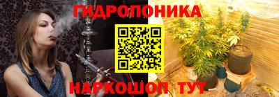 крисы Будённовск