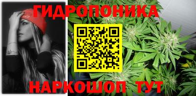 трава Камышлов