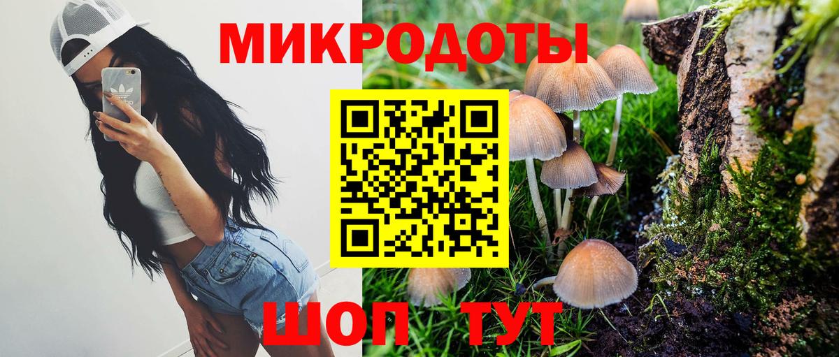 Галлюциногенные грибы GOLDEN TEACHER  Псилоцибиновые грибы прущие грибы  Черкесск  Вход с VPN 