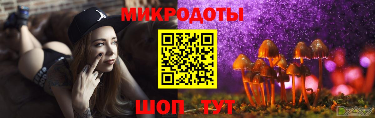 Галлюциногенные грибы MAGIC MUSHROOMS Черкесск